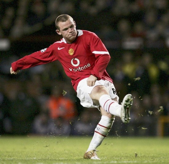 前来观光旅 前来观光旅