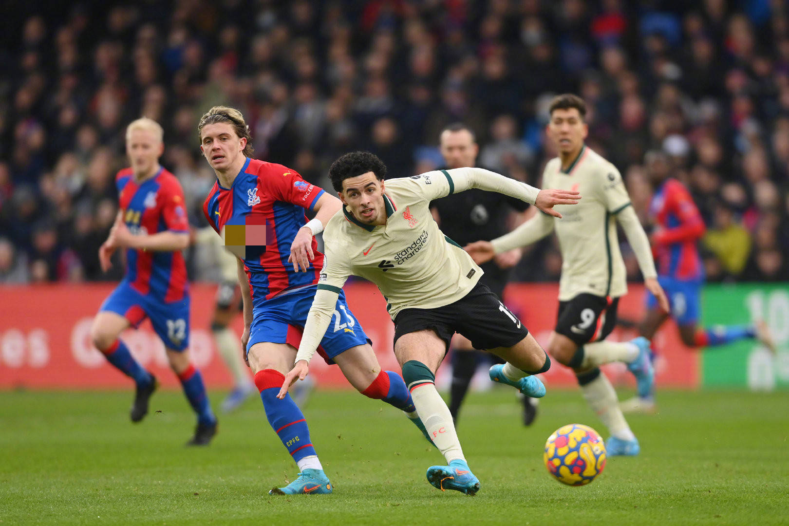 已经掌握了 已经掌握了