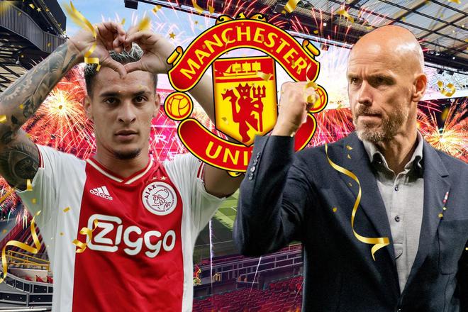 的促进作用 的促进作用